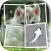 Puppies Picture Characters Quiz Games Pro