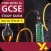 Frankenstein York Notes for GCSE 9-1