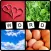 4 pictures 1 word : guess pics quiz