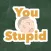 You Stupid