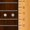 Set Fret