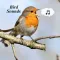 Bird Sounds - Ultimate Sounds Collections