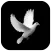 SAM*INK® FREELANCER