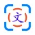 Chinese Lens