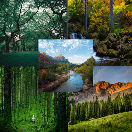Local HD Wallpaper