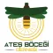 Ateş Böceği Derneği
