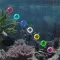 FiveBubbles