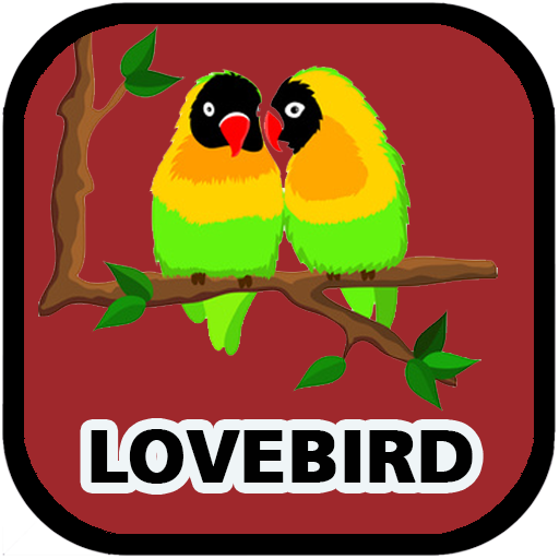 Kicau Lovebird Mp3 Offline