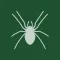 Solitaire / Spider