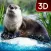 Otter Simulator 3D