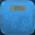 Diary - Weight Diary