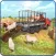 Animal Transport Cargo Truck