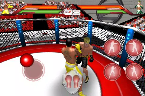 Virtual Boxing Screenshots