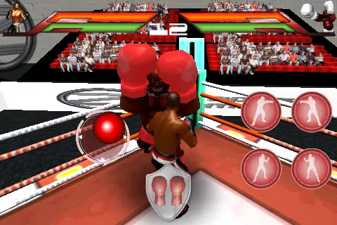 Virtual Boxing Screenshots