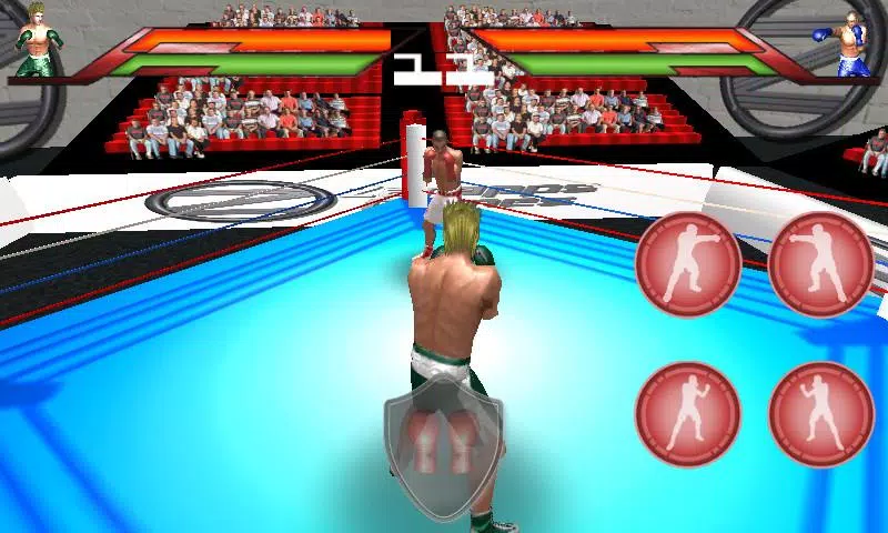 Virtual Boxing Screenshots
