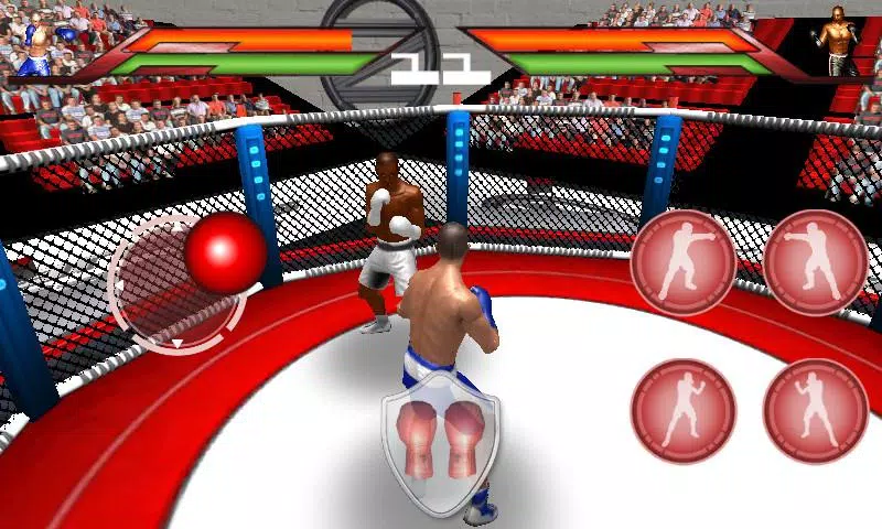 Virtual Boxing Screenshots