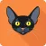 Cat Test: Choose your cat breed