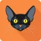 Cat Test: Choose your cat breed
