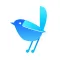 Cuckoo Network Status