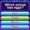 Trivia Crush - Quiz Games