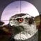 Bird Hunter 3D 2015