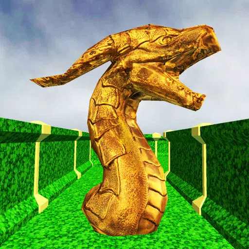 Dragon Maze - VR/AR Dragon Maze - VR/AR