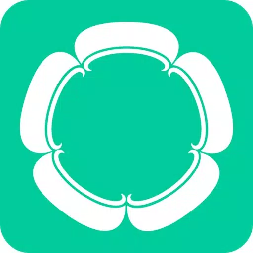 Copilot - Safe driving partner Copilot - Safe driving partner