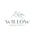 Willow Medical Aesthetics
