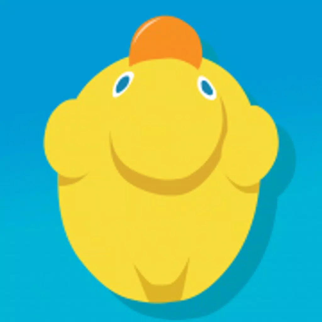 DUCK in the POOL DUCK in the POOL