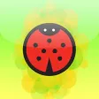 Ladybug Game