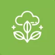 Zero Carbon Rewards