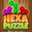 Hexa puzzle : Block blast