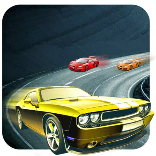 Crazy Car Stunt Racer Crazy Car Stunt Racer