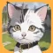 Cat And Seek