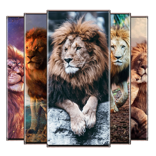 Lion Wallpaper