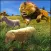 Lion Attack 2017 Ultimate Clan