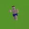 Master Craft Run & Collect 3D