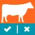 Heifer Ranking Challenge