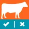 Heifer Ranking Challenge