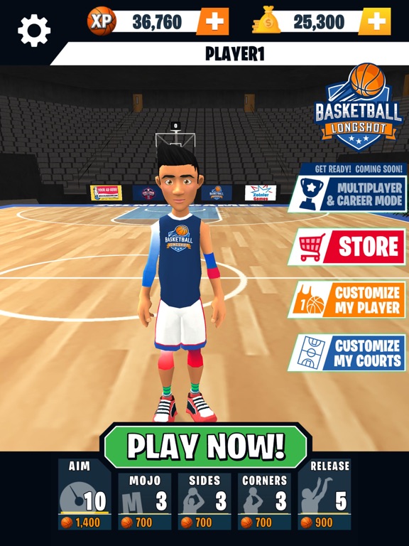 Basketball Longshot iPad Screenshots