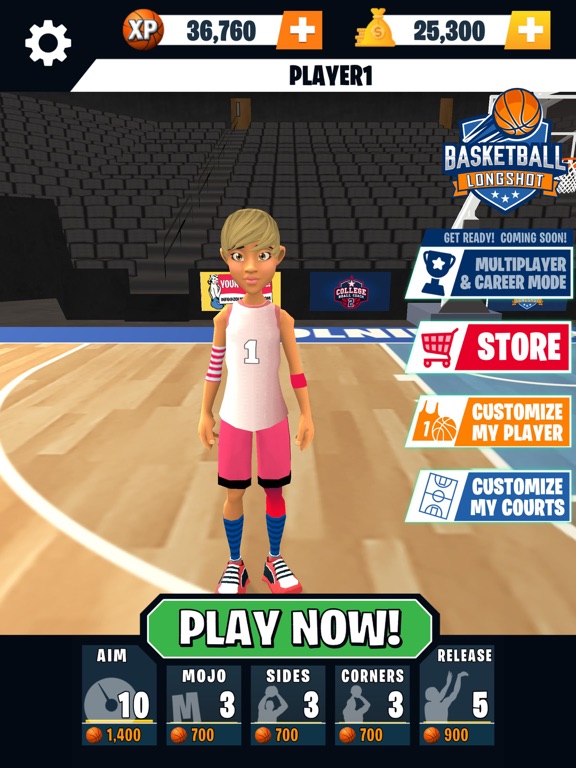 Basketball Longshot iPad Screenshots