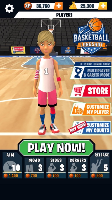Basketball Longshot Screenshots
