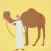 Saudi Arabia Camel Racing