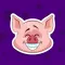 Cute Pig Sticker Pack!