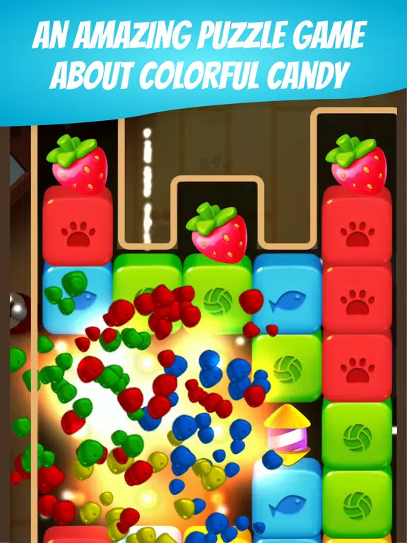 Zoy Time - 3 Match Puzzle Game iPad 應用截圖