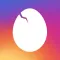 Insta Egg