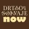 Learn Cherokee Syllabary Now
