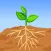 Root And Sprout