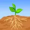 Root And Sprout