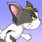 Crazy cat to explore
